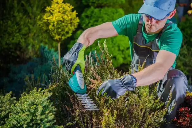 landscaping services Saginaw
